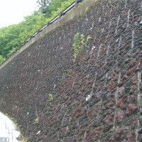 ナチュロック