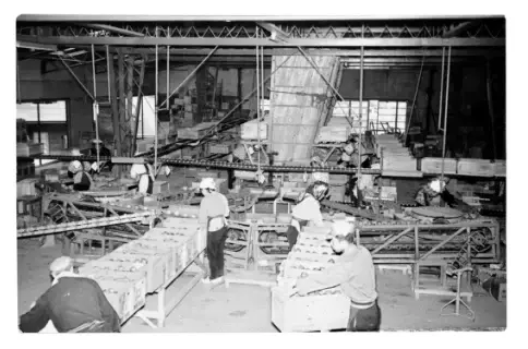 今でこそパソコンとカメラで色・サイズを選定していますが、創業当時は全て手作業。機械化した今も、'信州のおいしい果物をお届けしたい'その想いは変わりません。