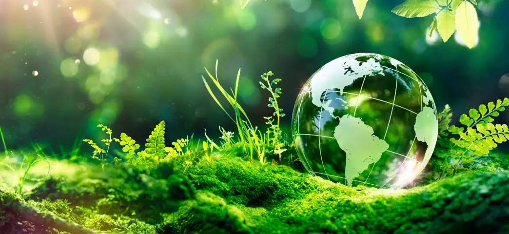 高見澤のサステナビリティ